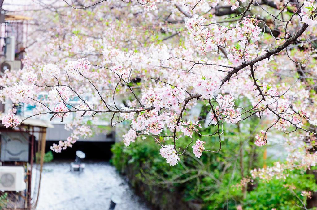 Villa Kumomachiya Takasegawa Kioto Exterior foto